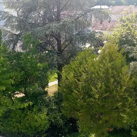 Arc En Ciel Et La Cle Des Champs Pippo Διαμέρισμα Contrexéville